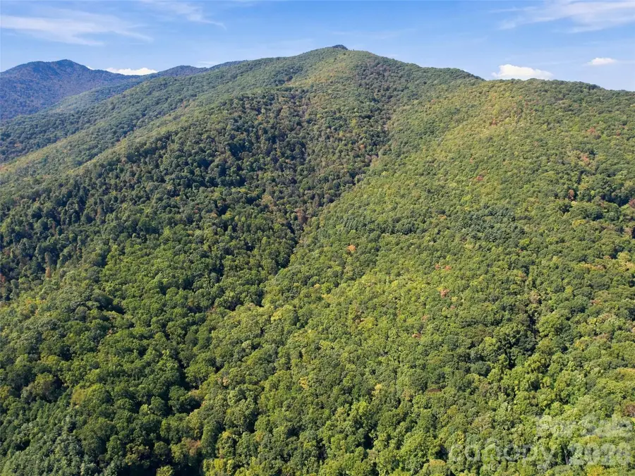00 Orion Davis Road, Waynesville, NC 28786 - #2