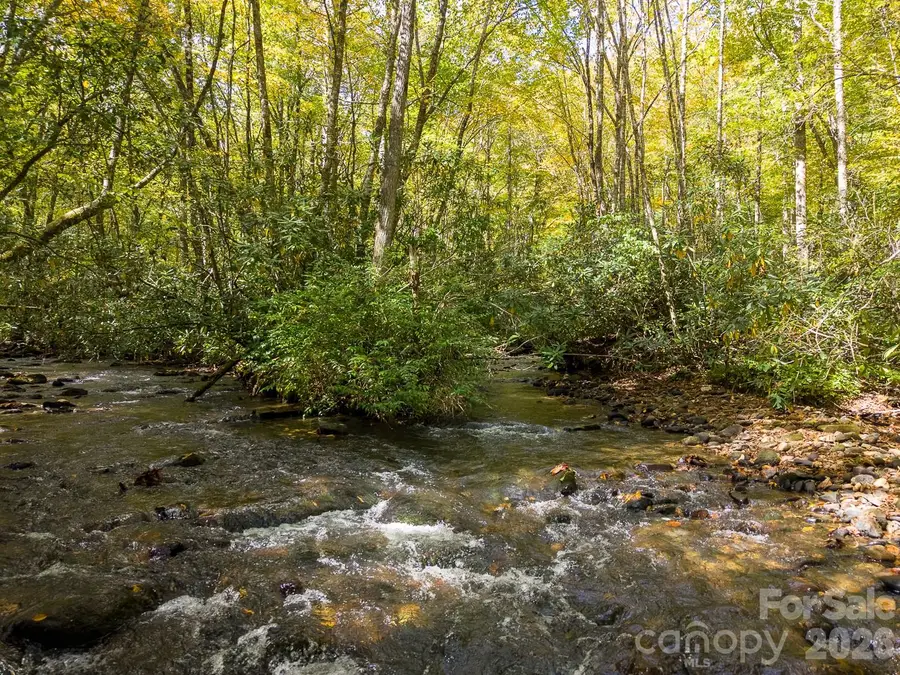 00 Little Snowbird Road #57, Robbinsville, NC 28771 - #3
