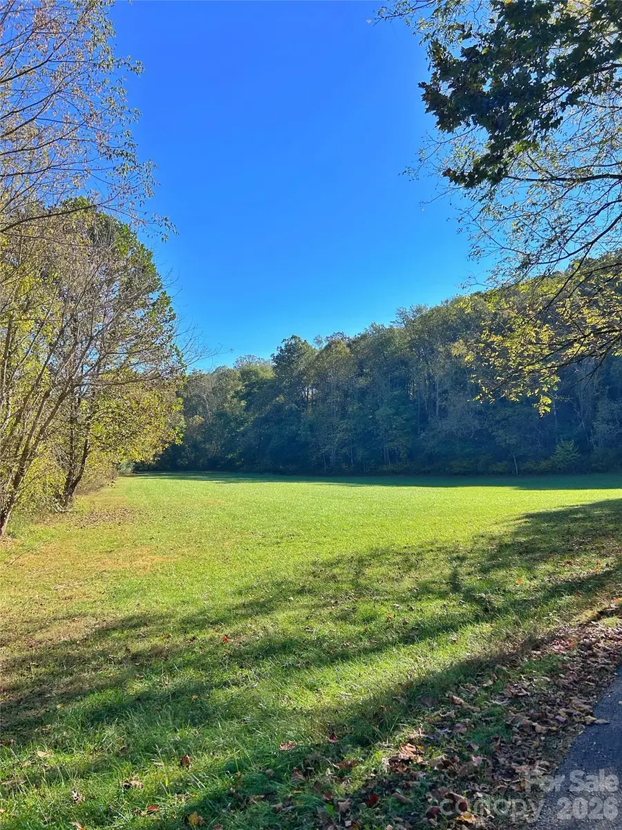 100 S Lindon Cove Road, Candler, NC 28715 - #2