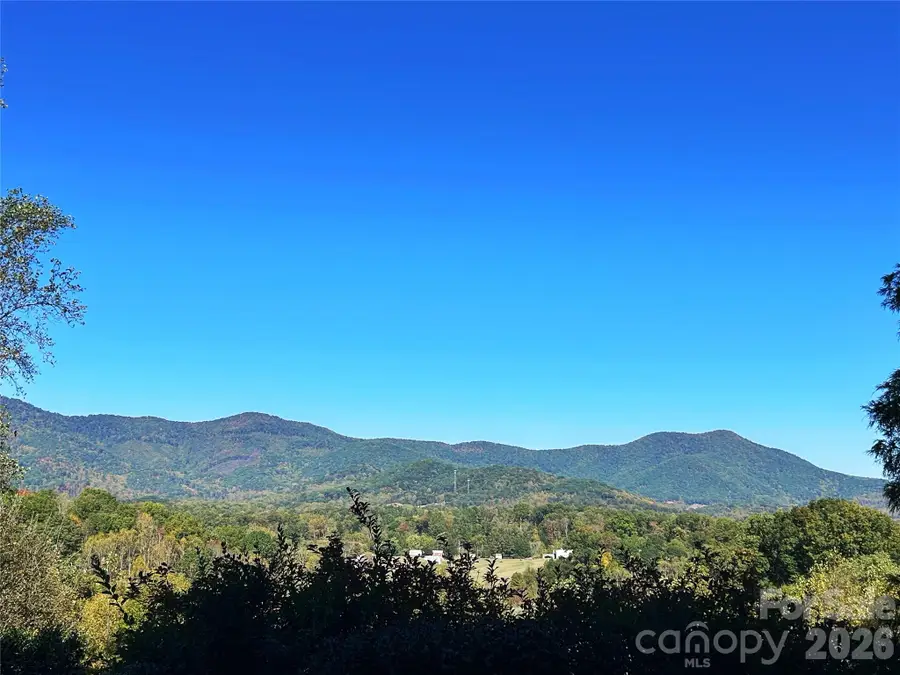 100 S Lindon Cove Road, Candler, NC 28715 - #3