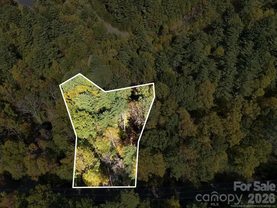 2230 Evans Road, Hendersonville, NC 28739 - #3