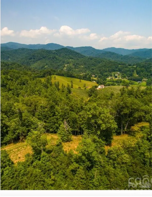 Lot 2, 4, 9-13, 15, 20-22 The Vines Boulevard, Marshall, NC 28753