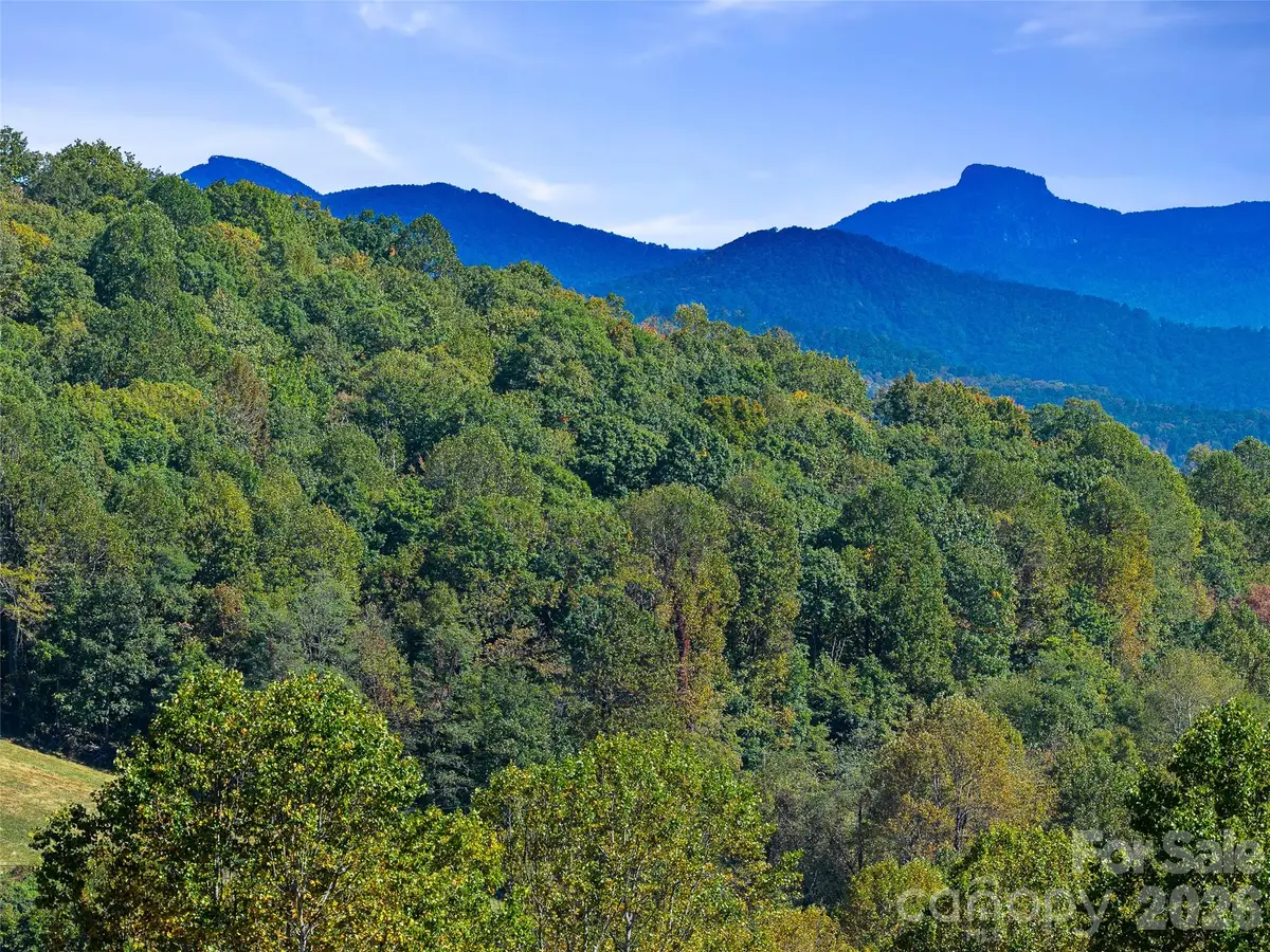 TBD Chestnut Grove Road, Spruce Pine, NC 28777 - #1