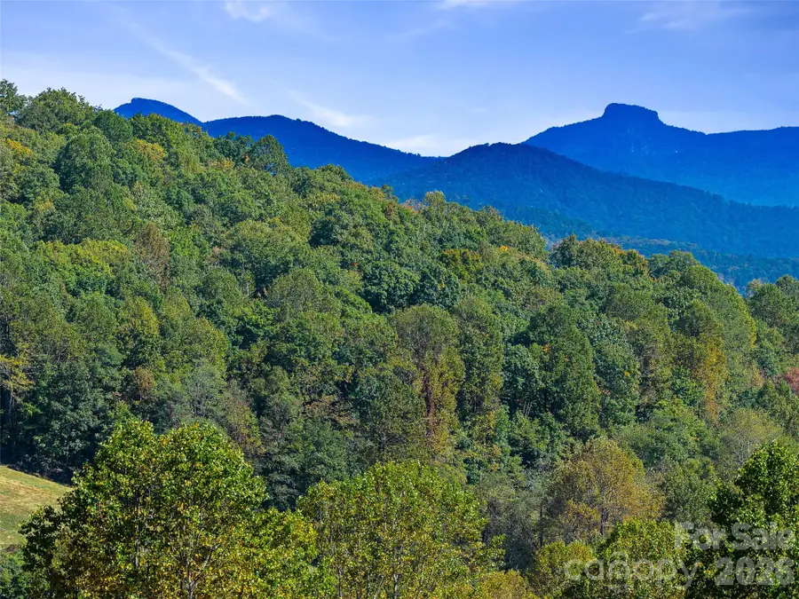 TBD Chestnut Grove Road, Spruce Pine, NC 28777 - #2