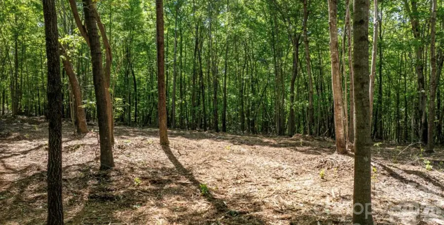 00 Stikeleather Road #Lot 3, Hiddenite, NC 28636 - #3
