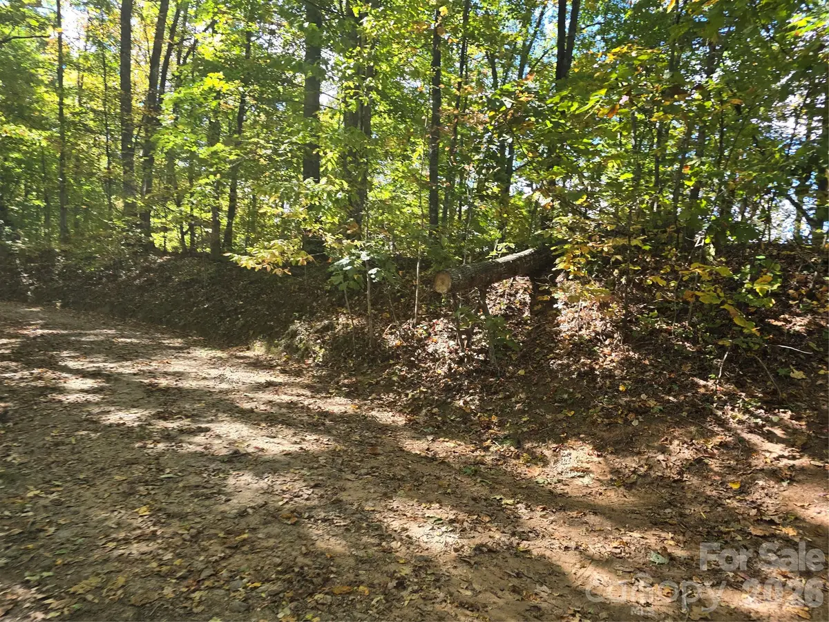 98 Hosta Drive, Sylva, NC 28779 - #1