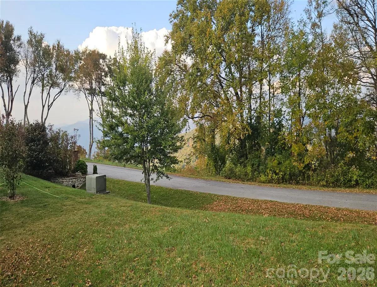 56 N Snow Ridge Drive #9, Hendersonville, NC 28792 - #1