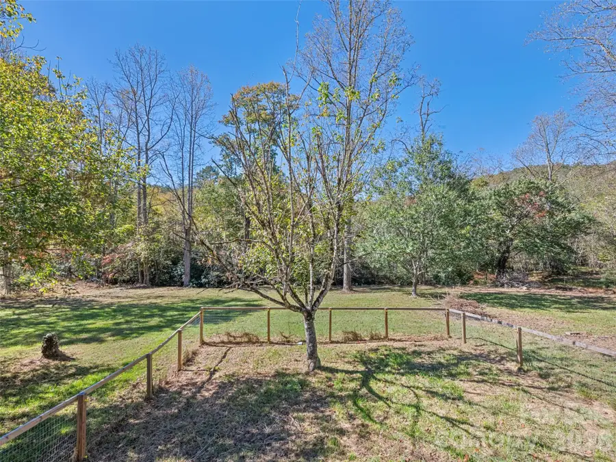 323 Joe Moody Road, Warne, NC 28909 - #3