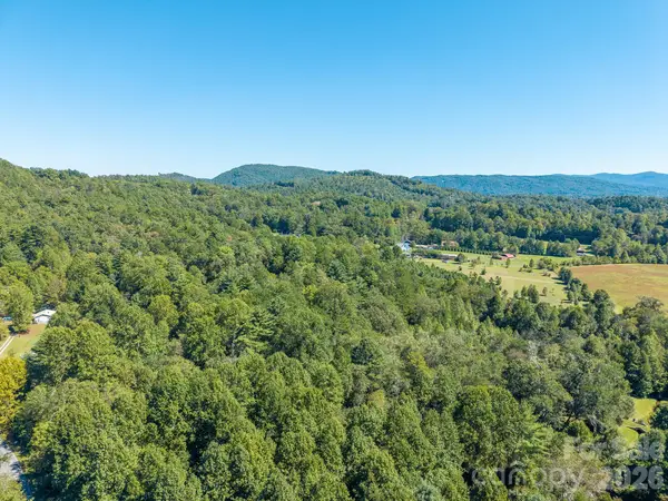 9999 Old Little Mountain Road #Tract 5-A, Pisgah Forest, NC 28768