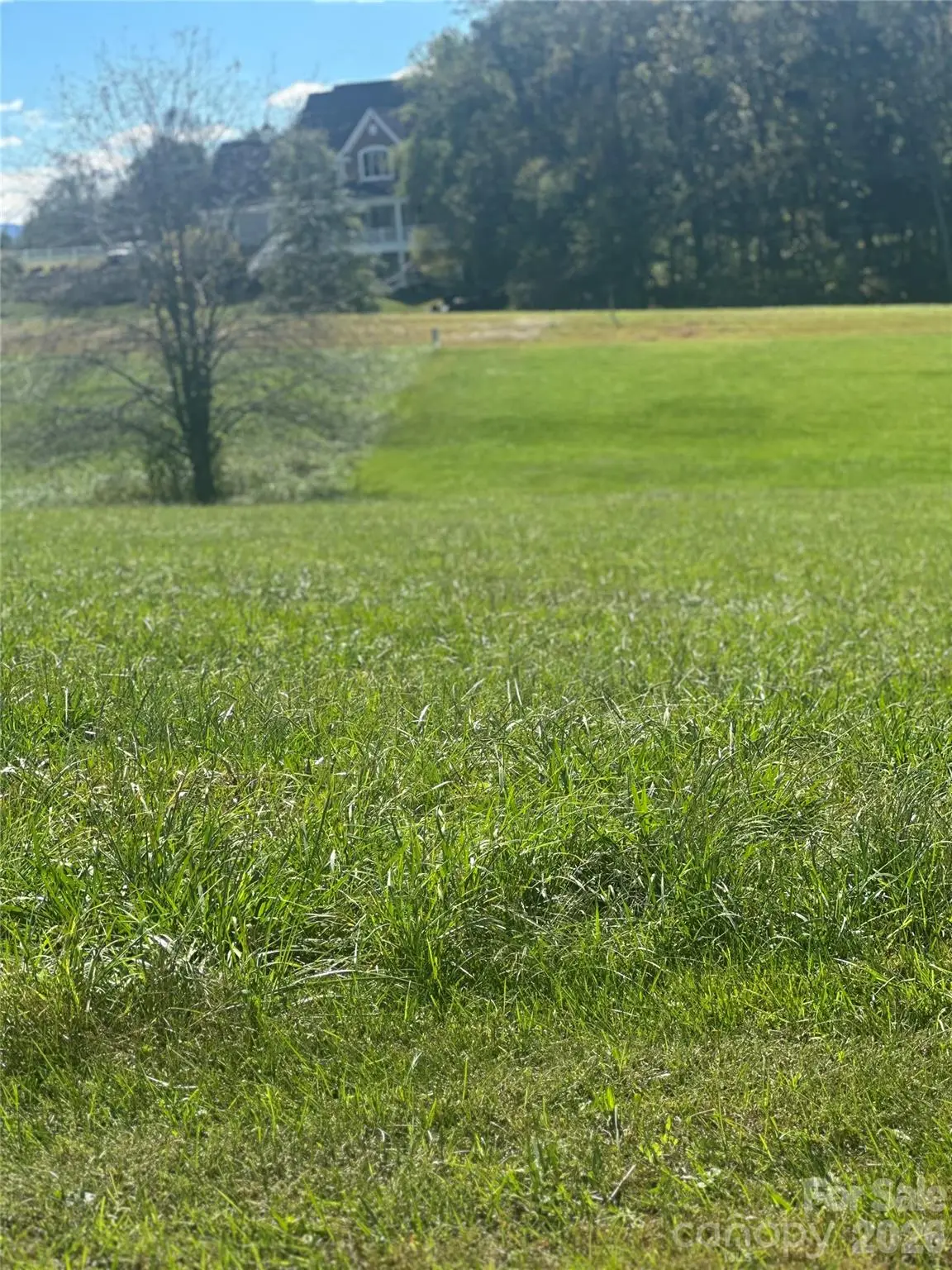 Lot 205 Canterbury Drive, North Wilkesboro, NC 28659 - #1