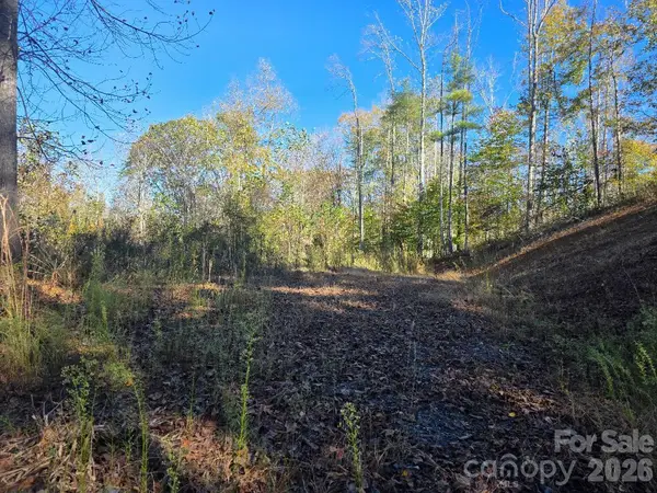 TBD Buckeye Hollow Road, Bakersville, NC 28705