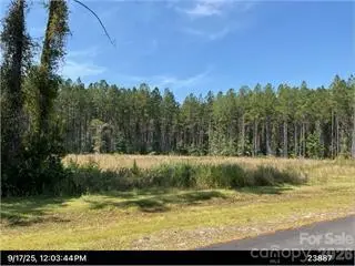 306 La Mare Lane, Waverly, GA 31565 - #2