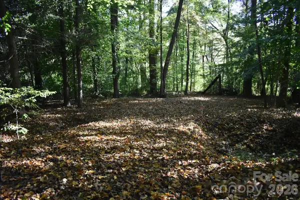 0 General Griffith Circle #29, Rutherfordton, NC 28139