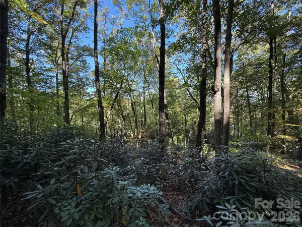 Lot 81 - R Kenmure Drive, Flat Rock, NC 28731