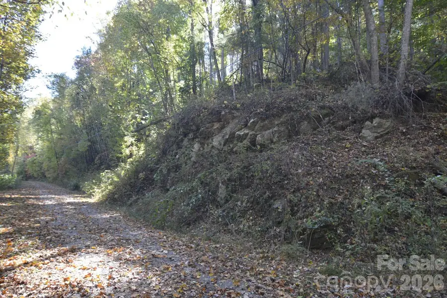 00 Bedford Road, Barnardsville, NC 28709 - #3