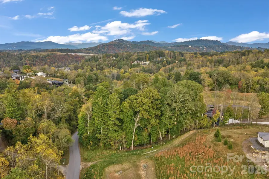 17 French Broad River Way #98, Asheville, NC 28804 - #2