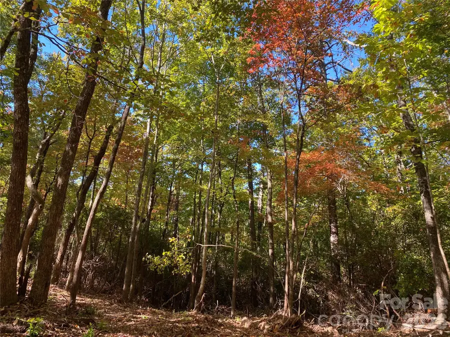 24 Oak Brook West Lane #24, Brevard, NC 28712 - #3