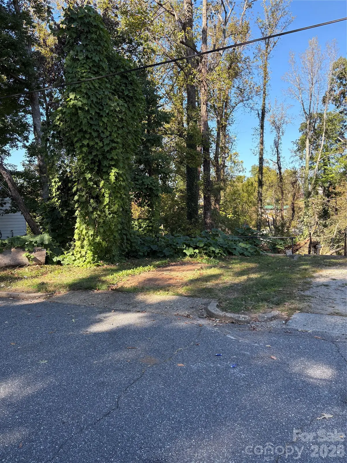 206 Jefferson Street, Morganton, NC 28655 - #1