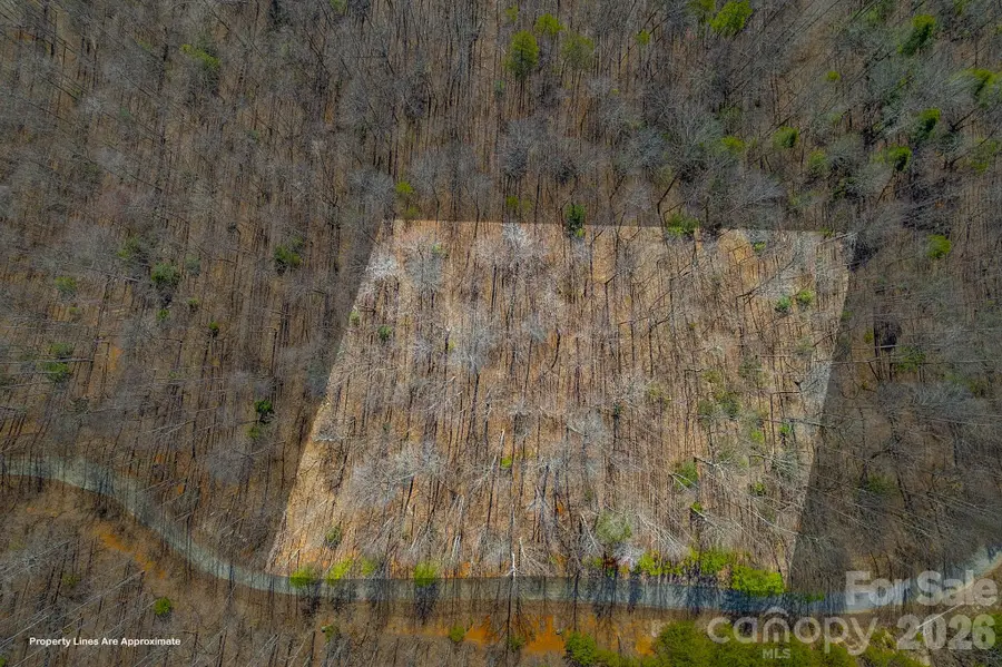00 Champagne Ridge, Lake Lure, NC 28746 - #2