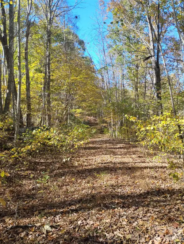 000 Dora Lane, Bakersville, NC 28705