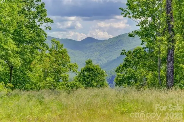 Lot 69 Whisper Mountain Drive, Leicester, NC 28748 - #2
