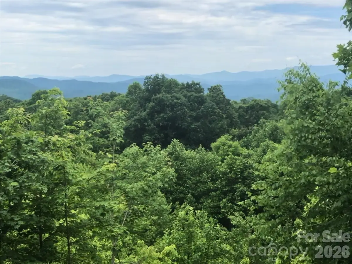 370 Somersby Parkway, Laurel Park, NC 28739 - #1