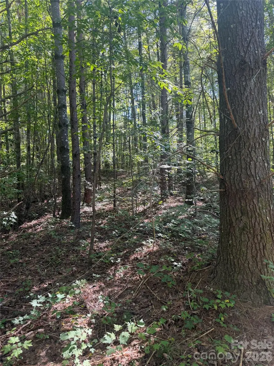 1202 Old Neal Road, Marion, NC 28752 - #3