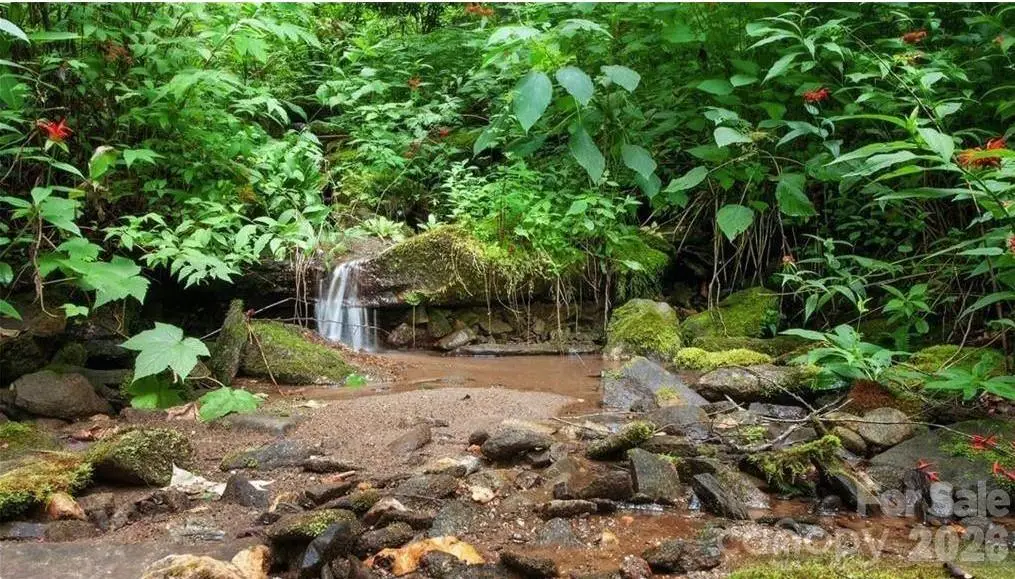 15 Mountain Mint Drive, Swannanoa, NC 28778 - #1