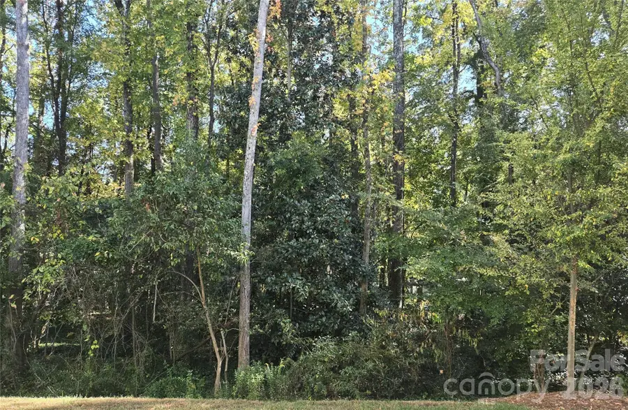 2401 Magnolia Blossom Way, Charlotte, NC 28211 - #2