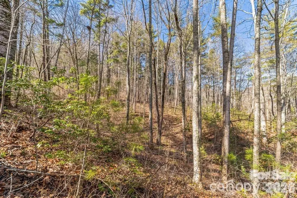 9999 Little Creek Drive, Nebo, NC 28761 - #1