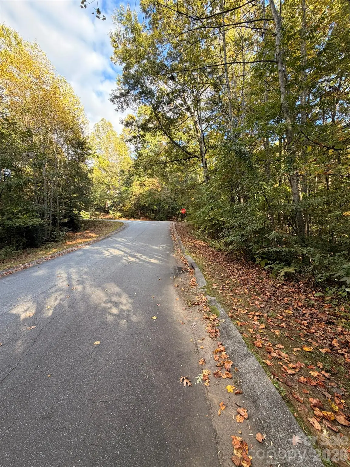 00 Charlotte Ann Ln Charlotte Ann Lane #34, Hickory, NC 28601 - #1
