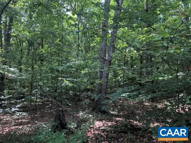 Lot 16 Foxwood Dr, Barboursville, VA 22923 - Image #1