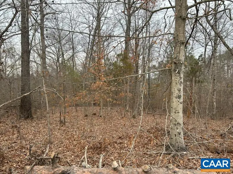 975 Hardware Rd, Scottsville, VA 24590 - Image #2