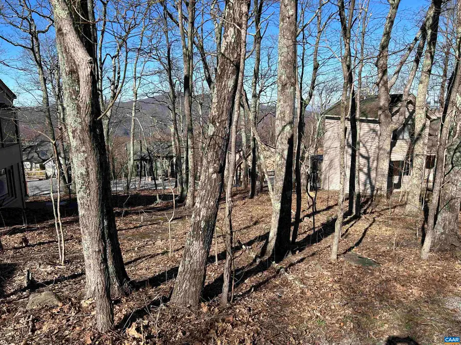 421 Blackrock Dr, Wintergreen Resort, VA 22967 - Image #2