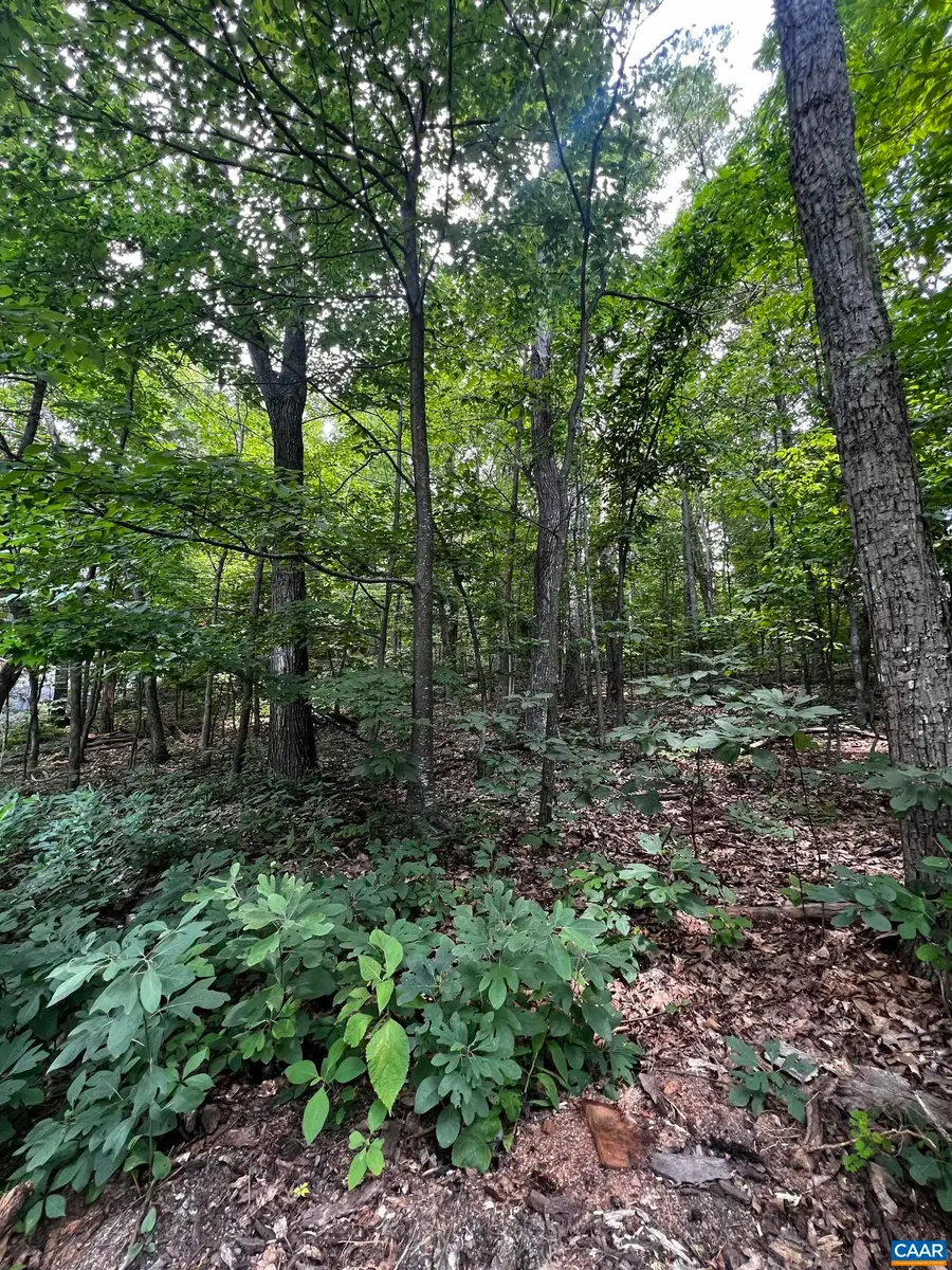 TBD Weeping Rock Ln, Wintergreen Resort, VA 22967 - Image #3