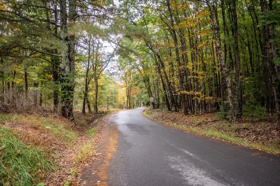 0-8.87 ac Dry Run Rd, Sugar Grove, WV 26815 - #2