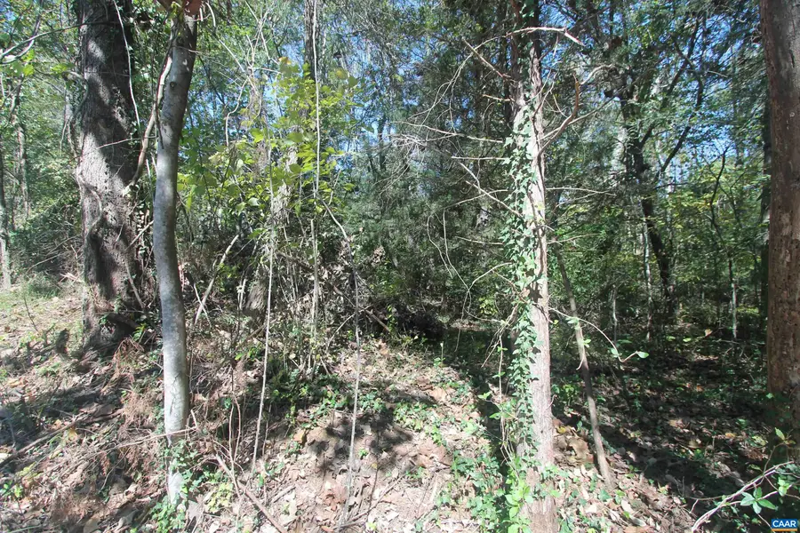 TBD 1 Toco Hl, North Garden, VA 22959 - #3