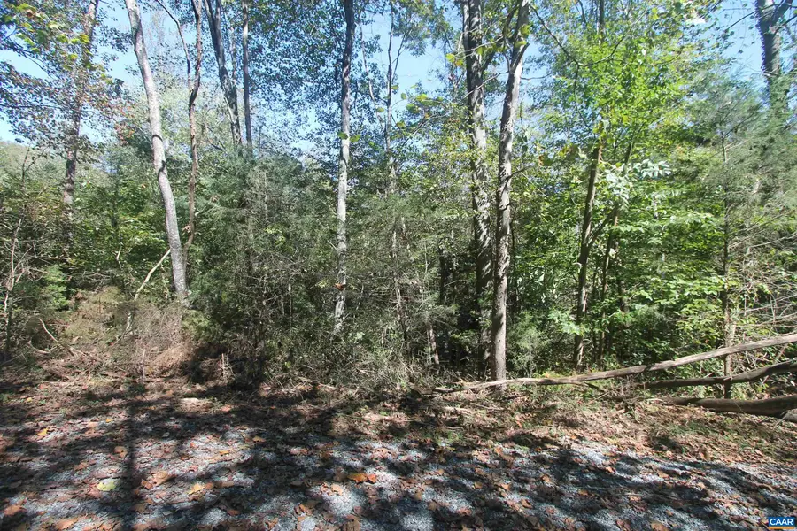 TBD-2 Toco Hl, North Garden, VA 22959 - #2
