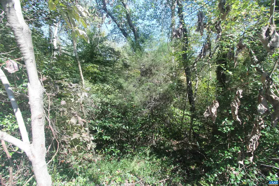TBD-2 Toco Hl, North Garden, VA 22959 - #3