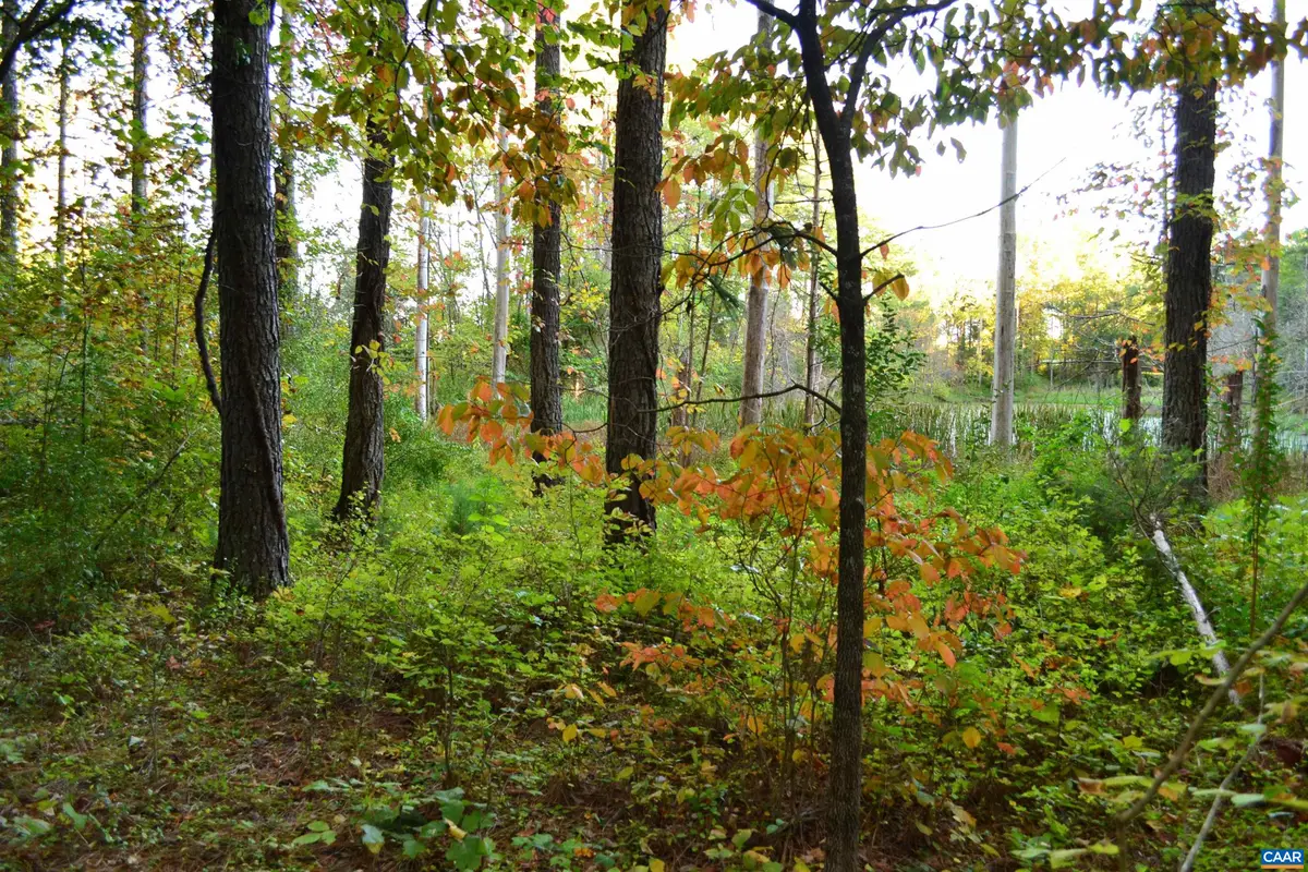 2A Scottsville Rd, Charlottesville, VA 22902 - Image #1