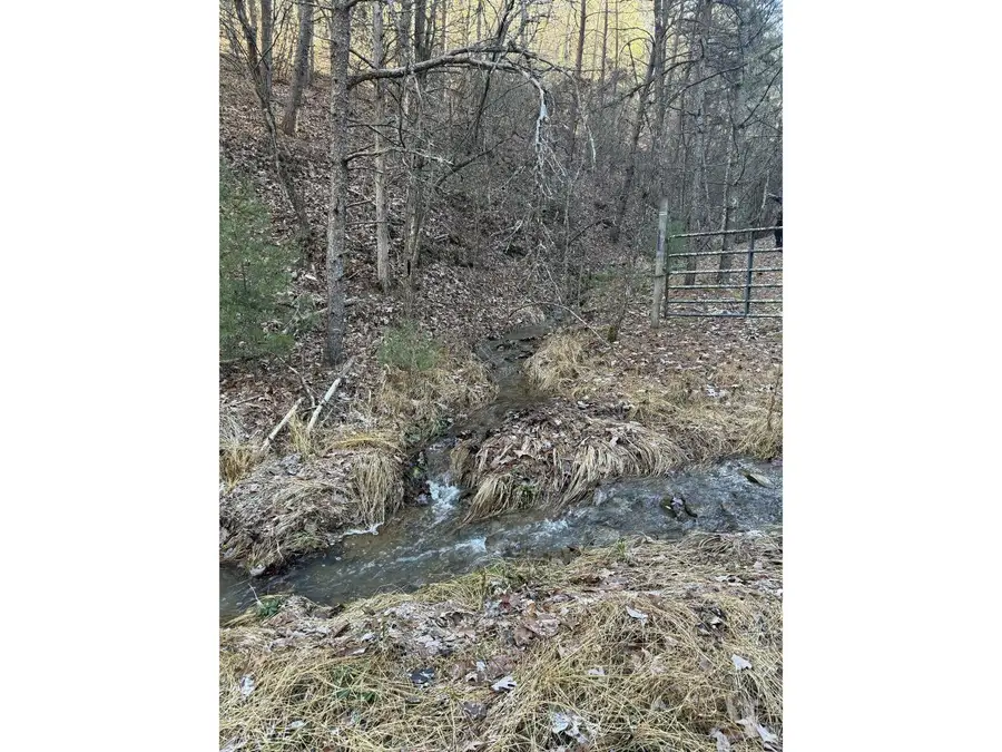 21 acres Buck Hill Ln, Sugar Grove, WV 26815 - Image #2