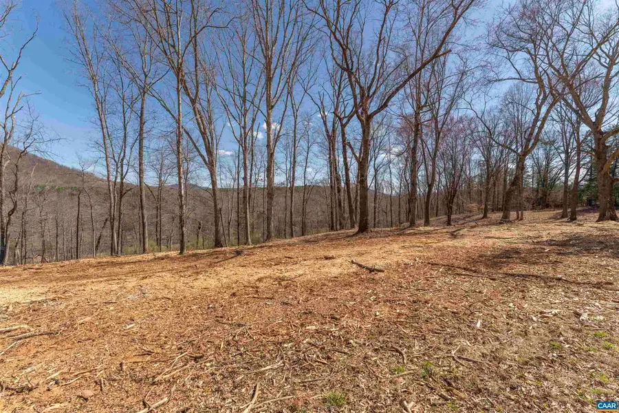 Lot 3 Rockfish Valley Hwy, Afton, VA 22920 - #3