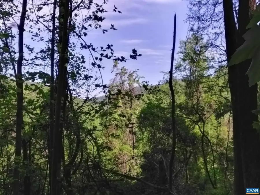 TBD Old Blue Ridge Tpke, Syria, VA 22743 - #2