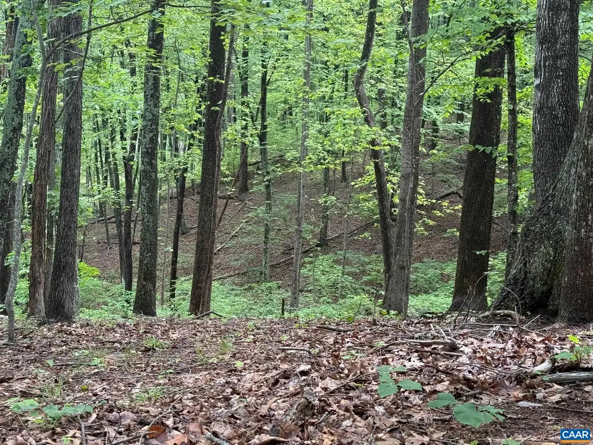 TBD Rabbit Valley Rd, North Garden, VA 22959 - #1