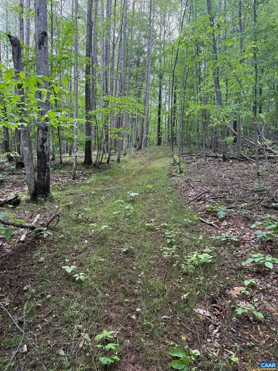 TBD Rabbit Valley Rd, North Garden, VA 22959 - #2