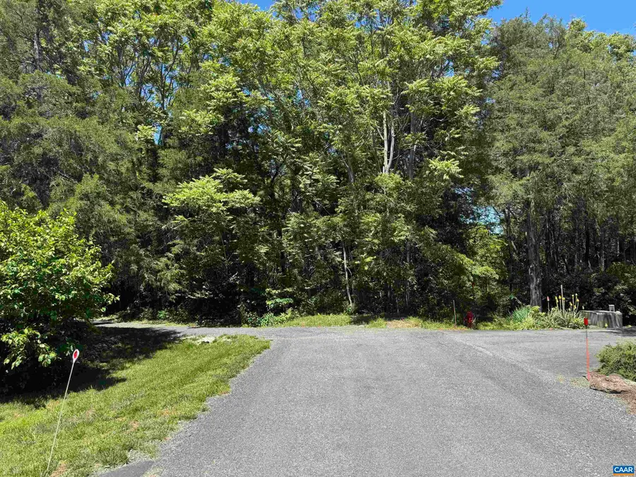 99 Blue Chickory Ct, Nellysford, VA 22958 - #3