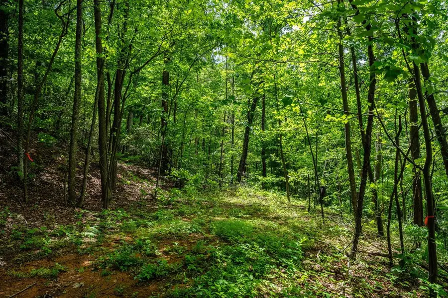 0 Helms Rd, Stanley, VA 22851 - #3