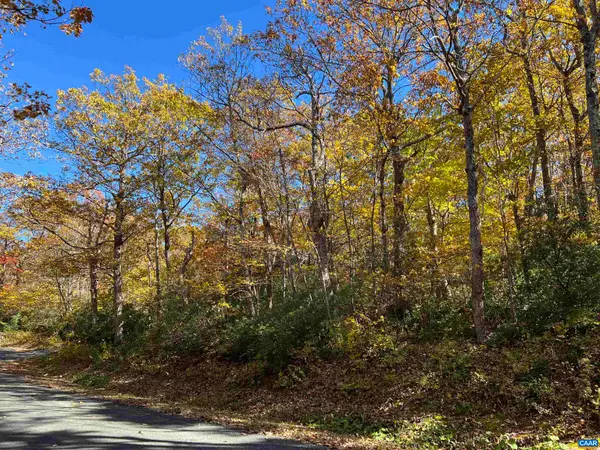 62 Split Rock Trl, Wintergreen Resort, VA 22967