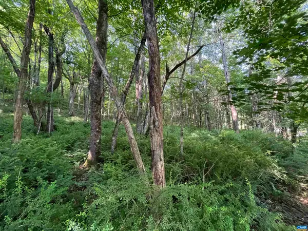 TBD Fish Hatchery Ln, Montebello, VA 24464