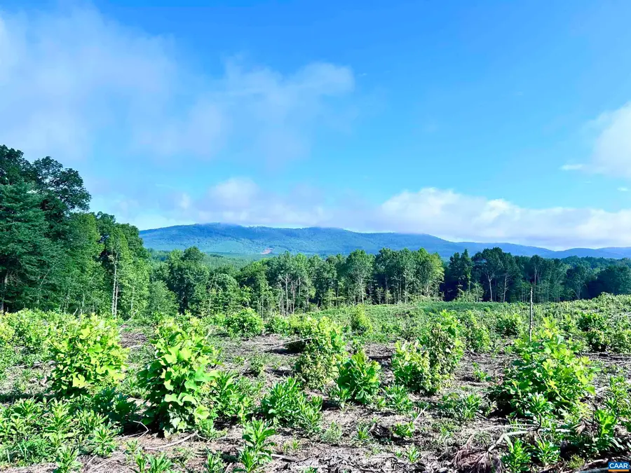 Hunting Lodge Rd, Schuyler, VA 22969 - #2